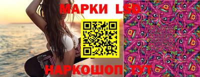 шишки Волгодонск