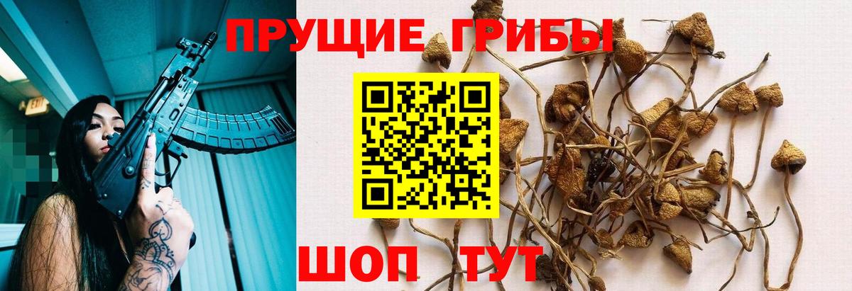 Галлюциногенные грибы мицелий  Галлюциногенные грибы Magic Shrooms  Вход с VPN  Татарск 