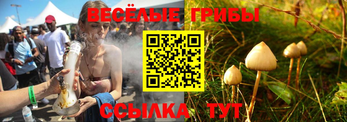 Псилоцибиновые грибы Magic Shrooms Татарск